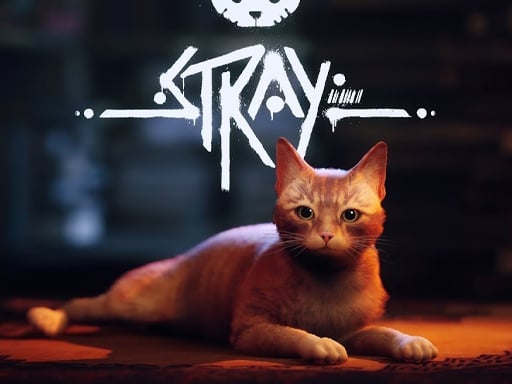 Stray Details