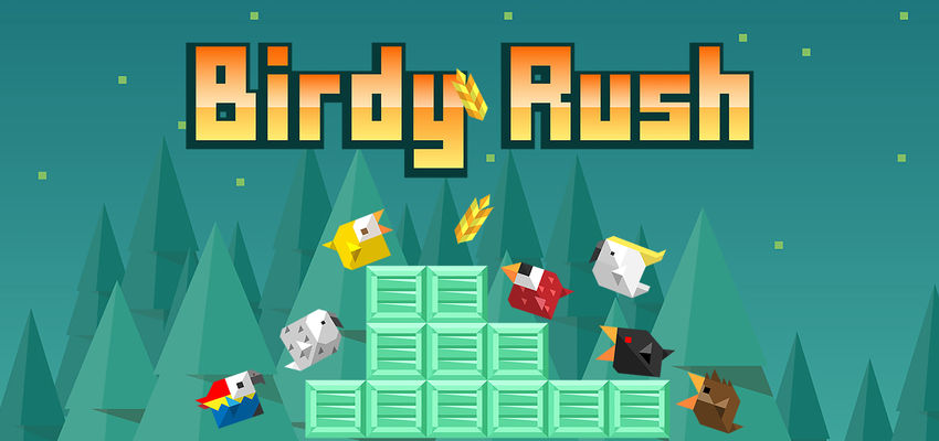 Birdy Rush Details