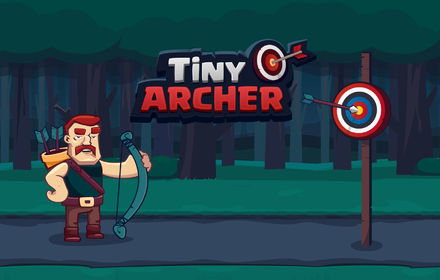 Tiny Archer Details